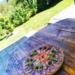 Vineyard Na Hribu Holiday home