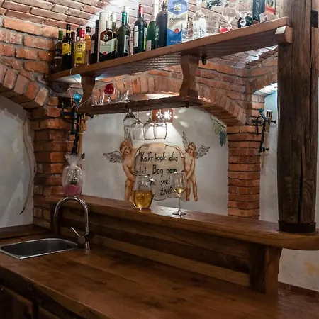 Vineyard Na Hribu Holiday home *