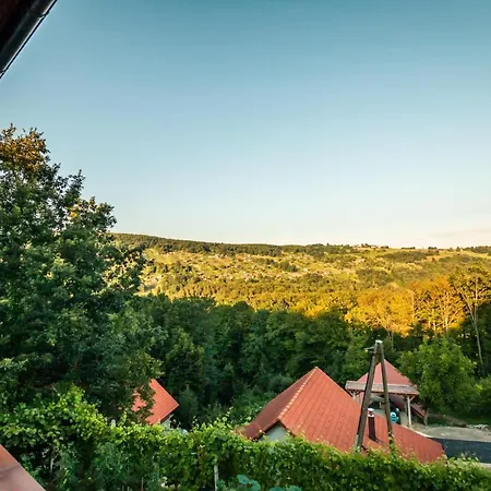 Vineyard Na Hribu *