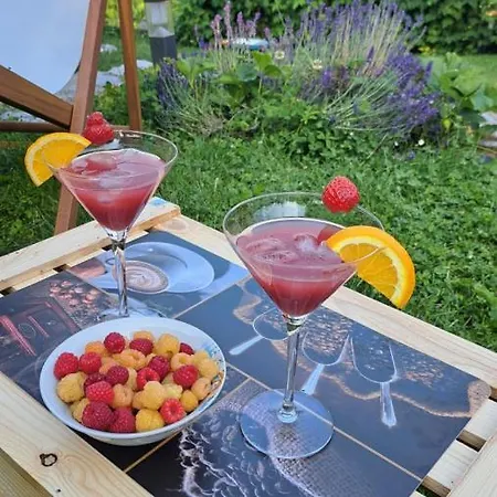 Vineyard Na Hribu Holiday home