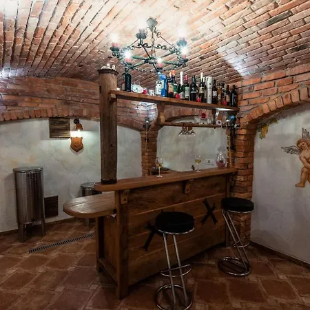 Vineyard Na Hribu Holiday home