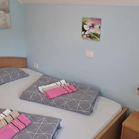 Vineyard Na Hribu 別荘 Dvor