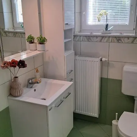 Vineyard Na Hribu 別荘 Dvor