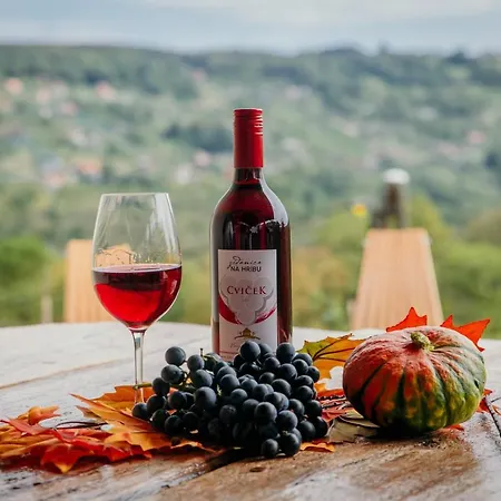 Vineyard Na Hribu * Dvor