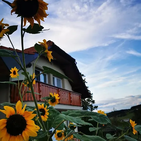 Semesterbostad Vineyard Na Hribu Dvor
