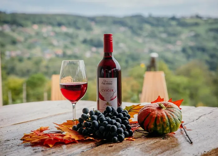 Vineyard Na Hribu * Dvor