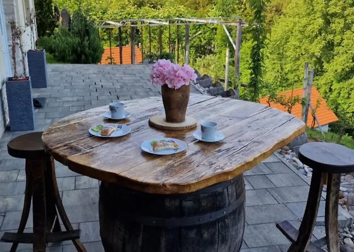 Vineyard Na Hribu Dvor